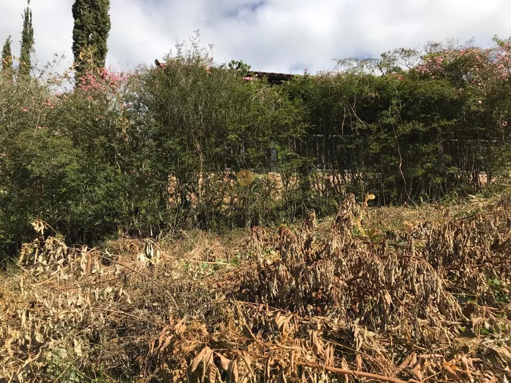 Terreno, 520 m² - Foto 18