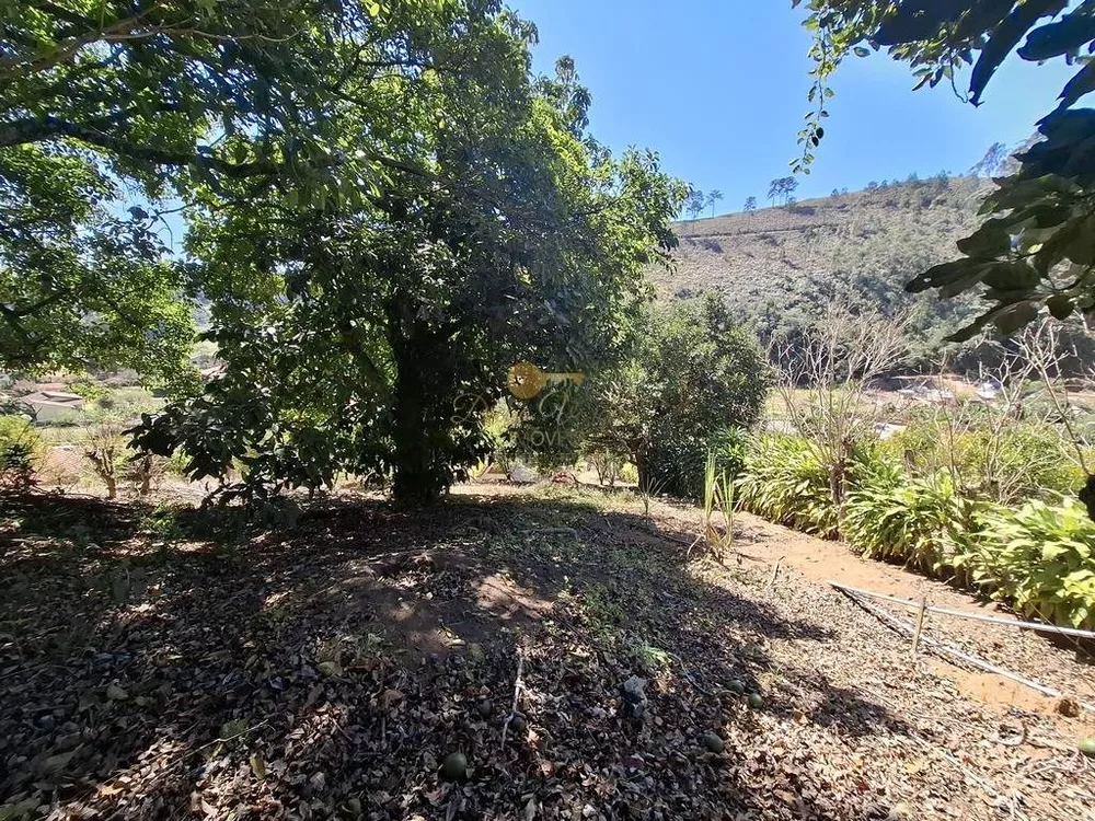 Casa, 3 quartos, 652 m² - Foto 30