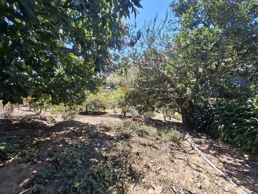Casa, 3 quartos, 652 m² - Foto 31