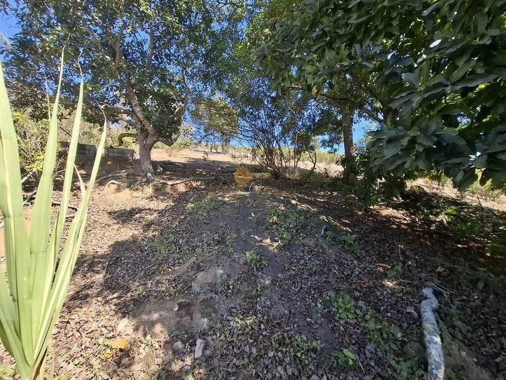 Casa, 3 quartos, 652 m² - Foto 28