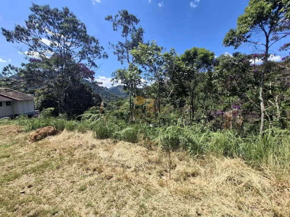 Terreno, 765 m² - Foto 6