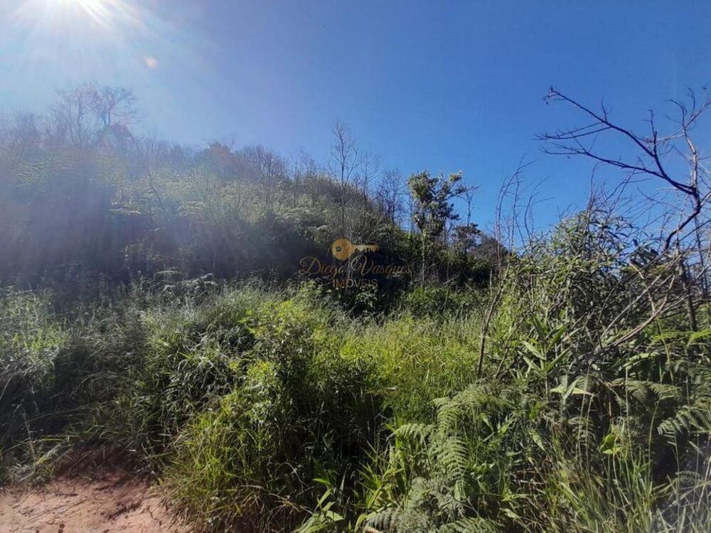 Terreno, 1000 m² - Foto 9