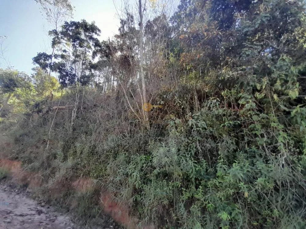 Terreno, 1000 m² - Foto 3