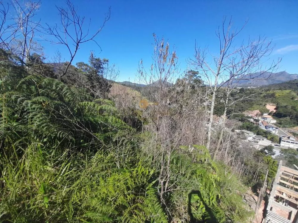 Terreno, 1000 m² - Foto 5