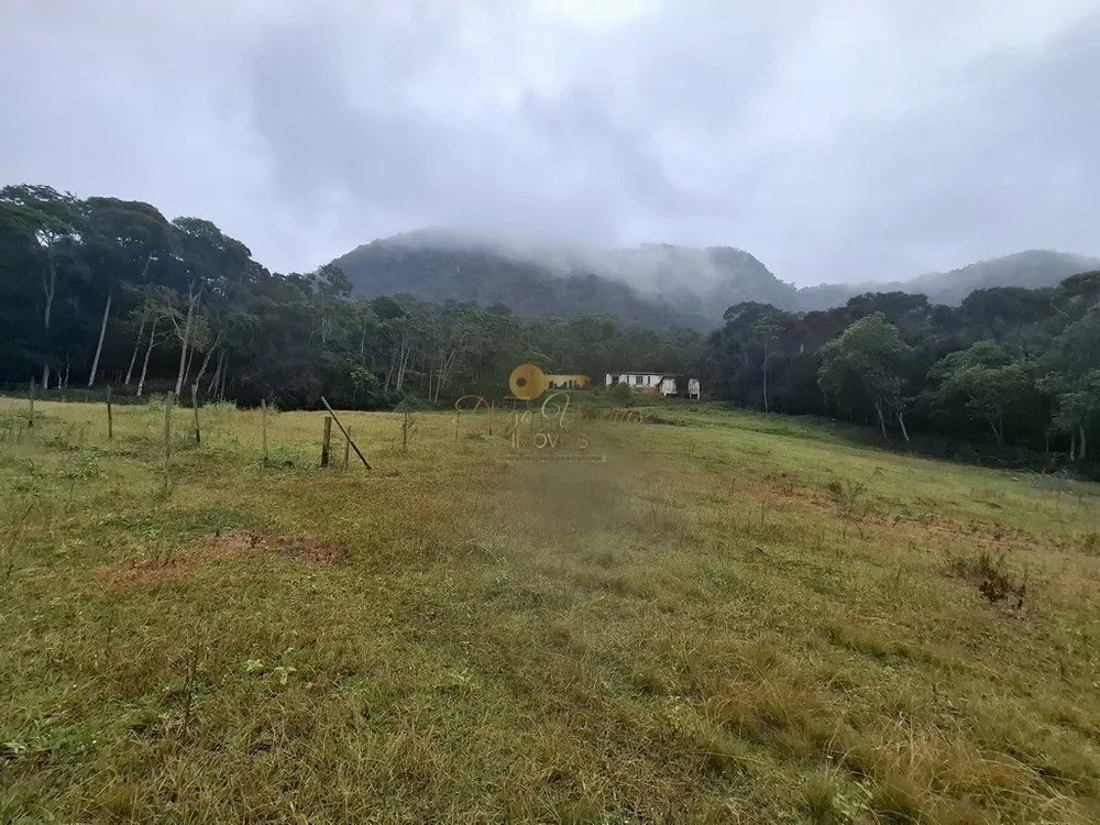 Sítio, 7 quartos, 22 hectares - Foto 3