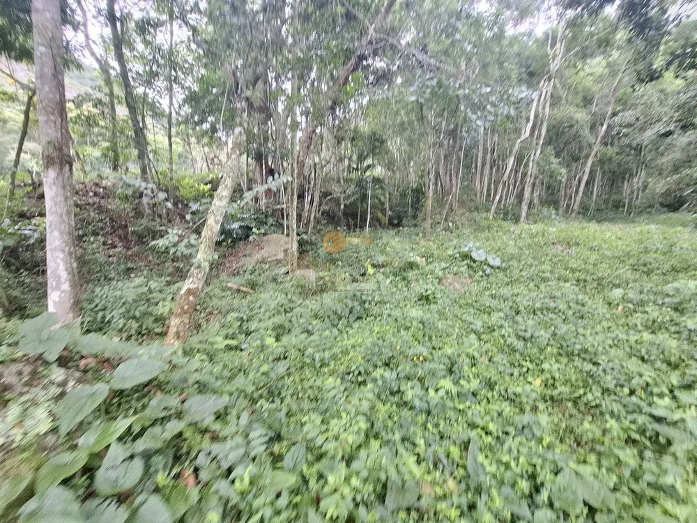 Sítio, 7 quartos, 22 hectares - Foto 26