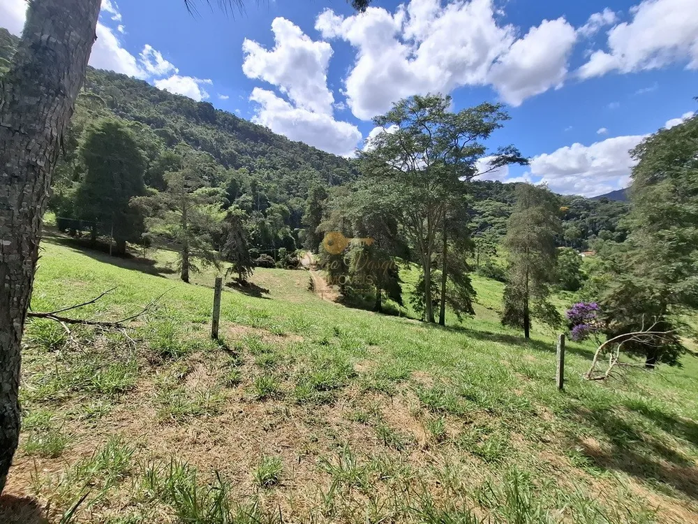 Fazenda, 40 hectares - Foto 40