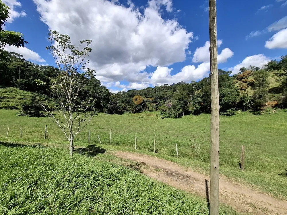 Fazenda, 40 hectares - Foto 48