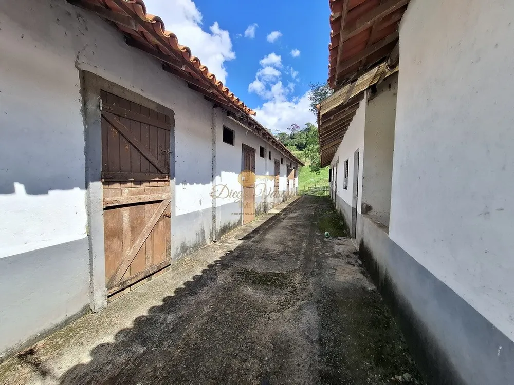 Fazenda, 40 hectares - Foto 43