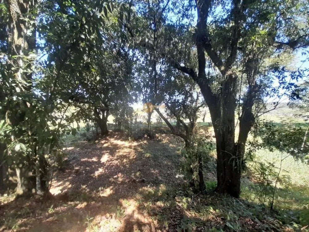 Terreno - Foto 7