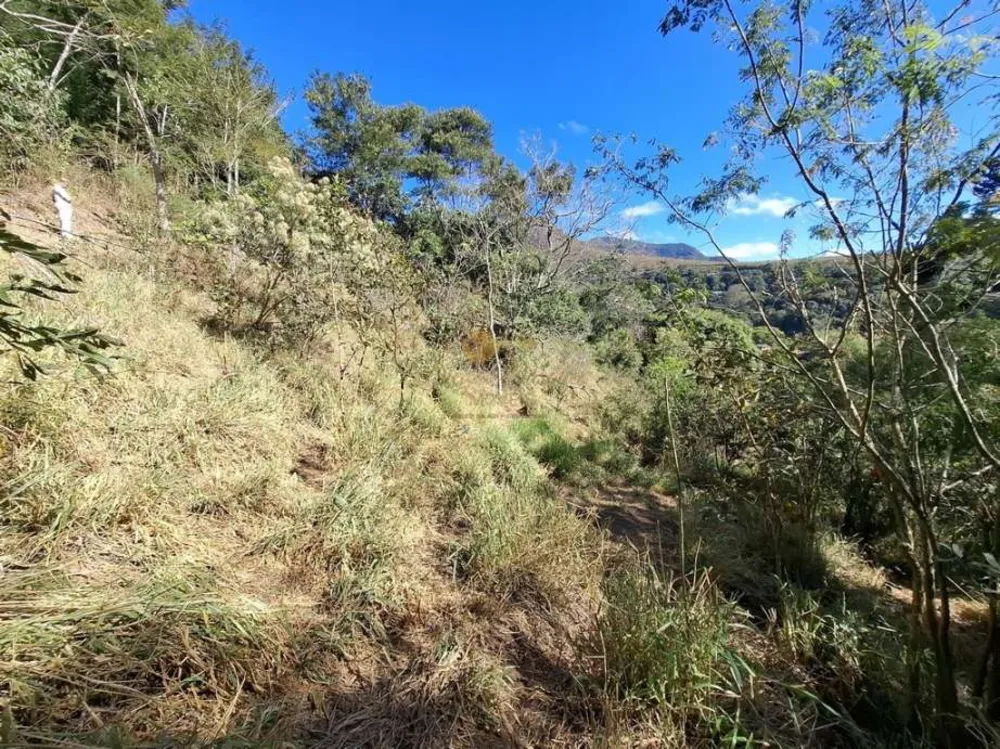 Terreno, 2480 m² - Foto 7