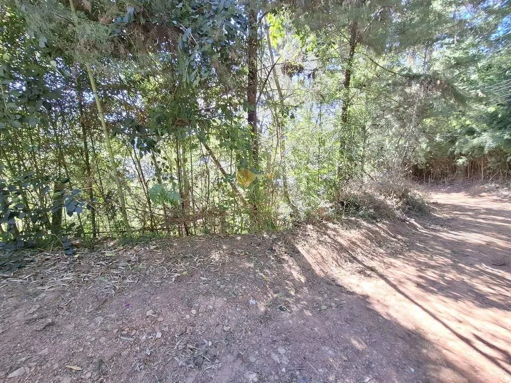 Terreno, 2480 m² - Foto 4