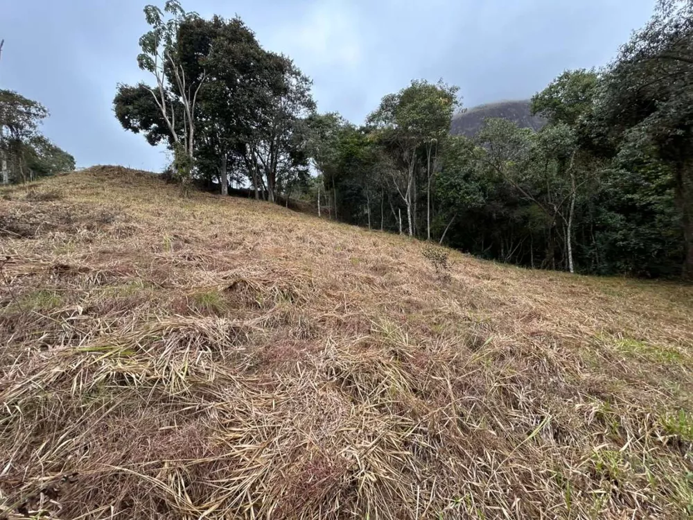 Terreno, 18 hectares - Foto 14