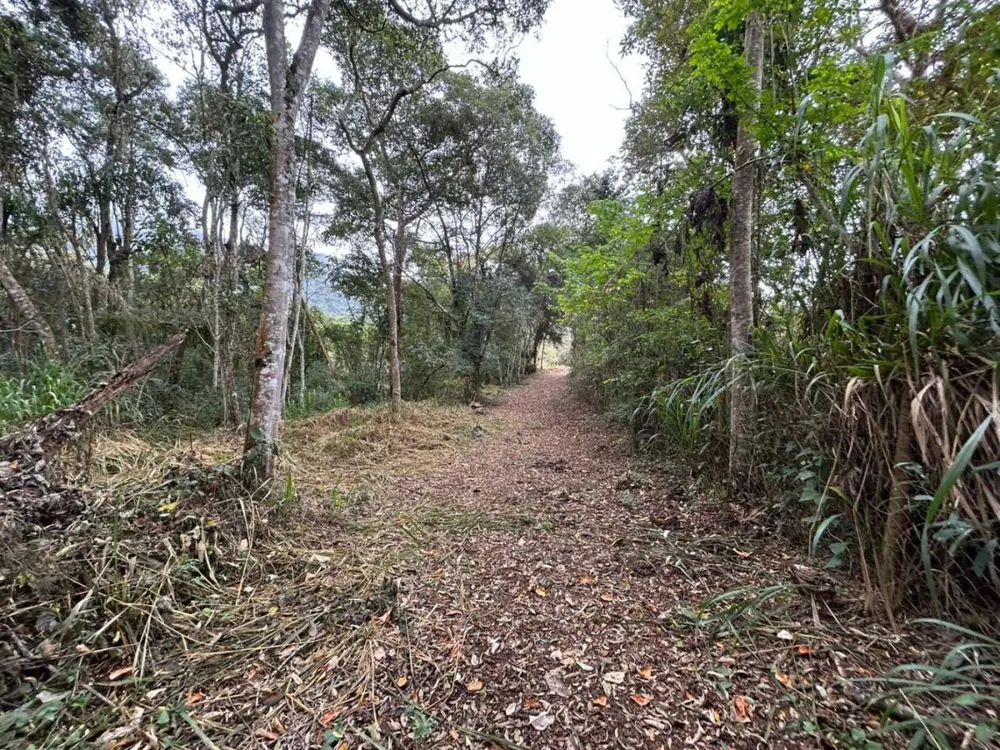 Terreno, 18 hectares - Foto 26