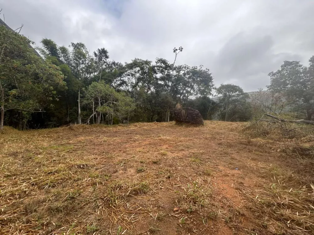 Terreno, 18 hectares - Foto 29