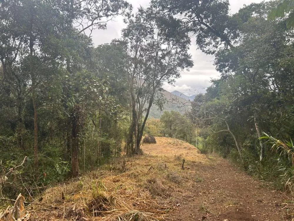 Terreno, 18 hectares - Foto 31