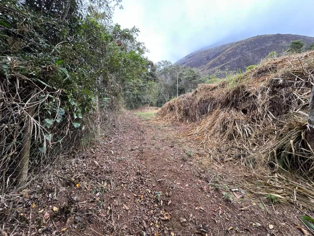 Terreno, 18 hectares - Foto 36