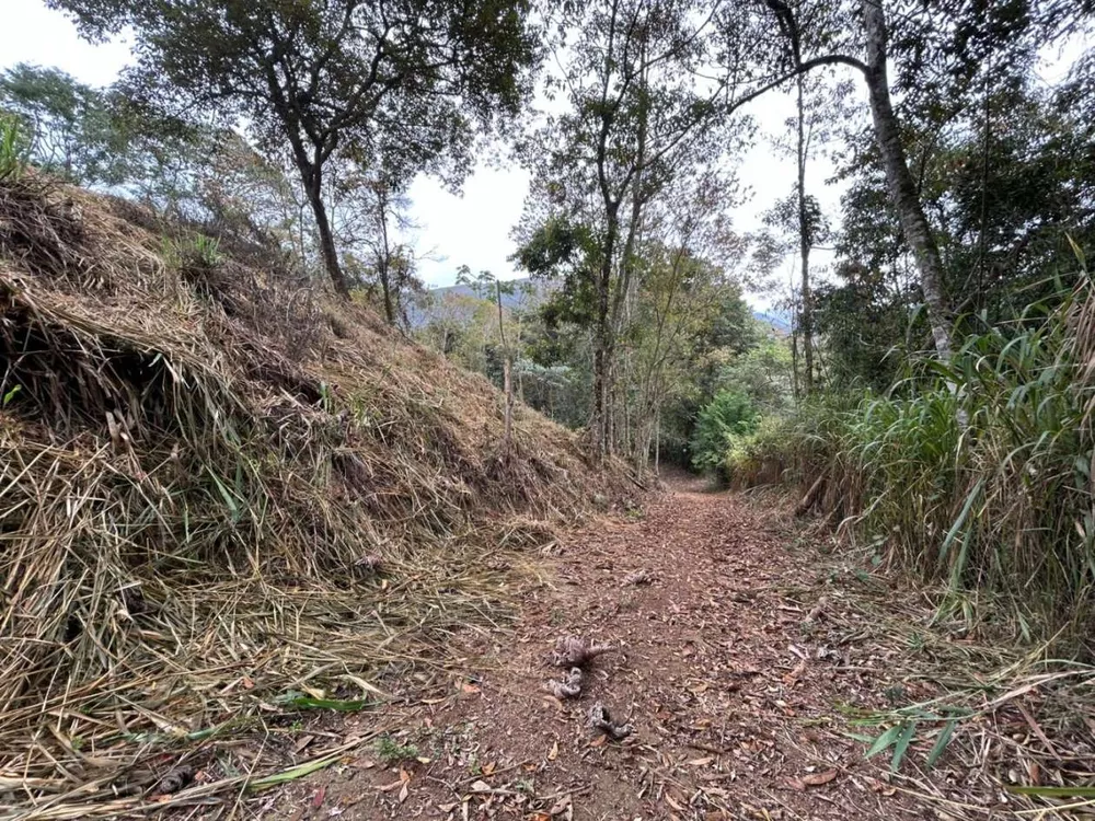 Terreno, 18 hectares - Foto 24