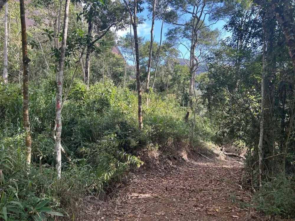 Terreno, 18 hectares - Foto 8