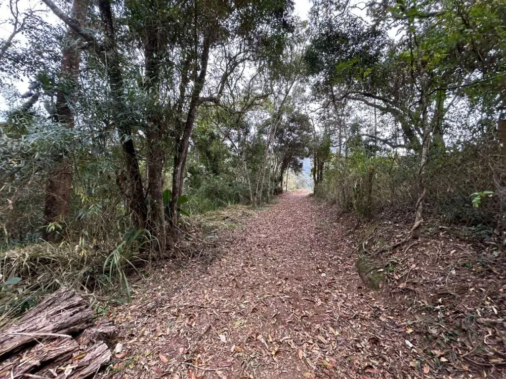 Terreno, 18 hectares - Foto 9