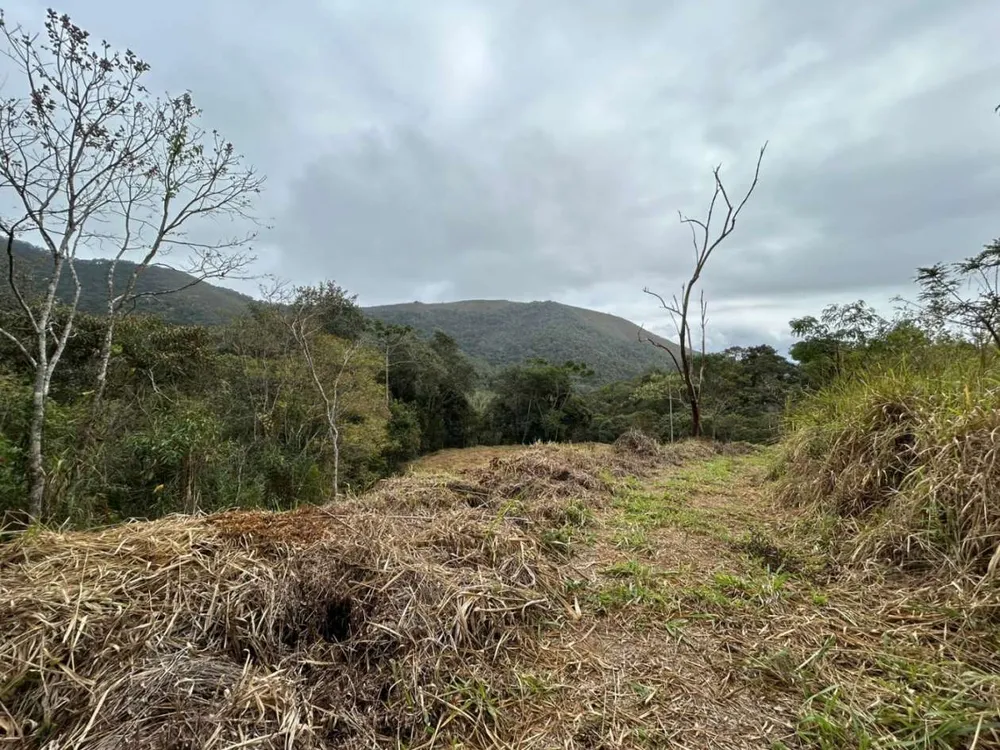 Terreno, 18 hectares - Foto 23