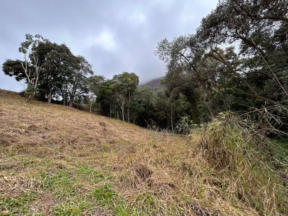 Terreno, 18 hectares - Foto 12