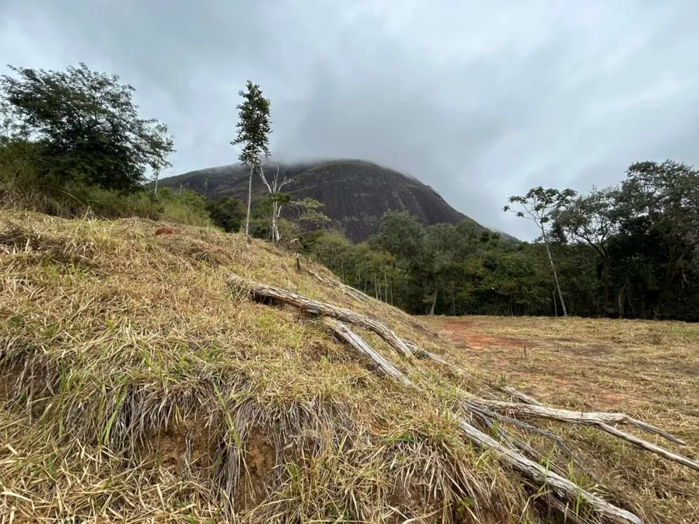 Terreno, 18 hectares - Foto 18