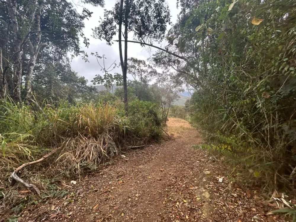 Terreno, 18 hectares - Foto 30