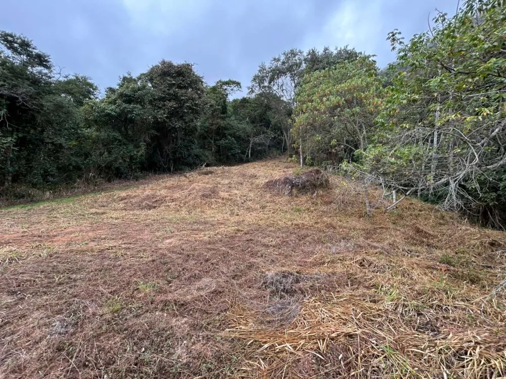 Terreno, 18 hectares - Foto 29