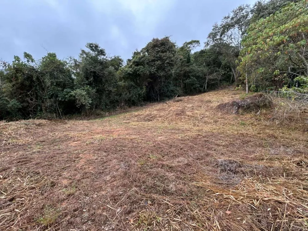 Terreno, 18 hectares - Foto 25