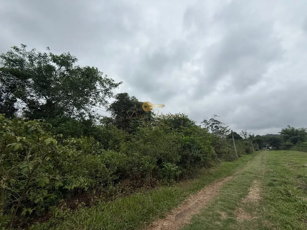 Chácara, 3 quartos, 10000 m² - Foto 4