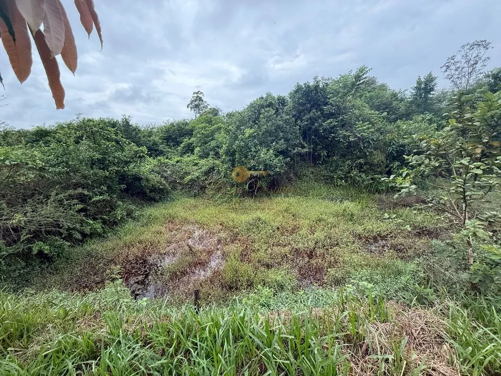 Chácara, 3 quartos, 10000 m² - Foto 2