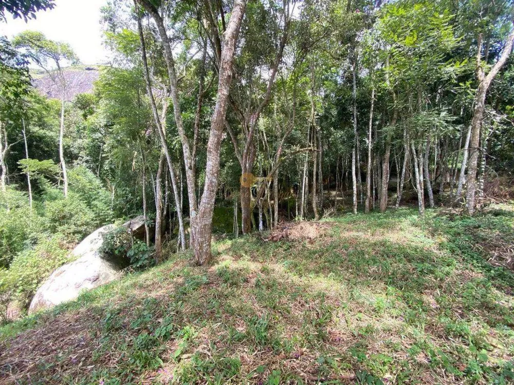 Terreno, 4000 m² - Foto 2
