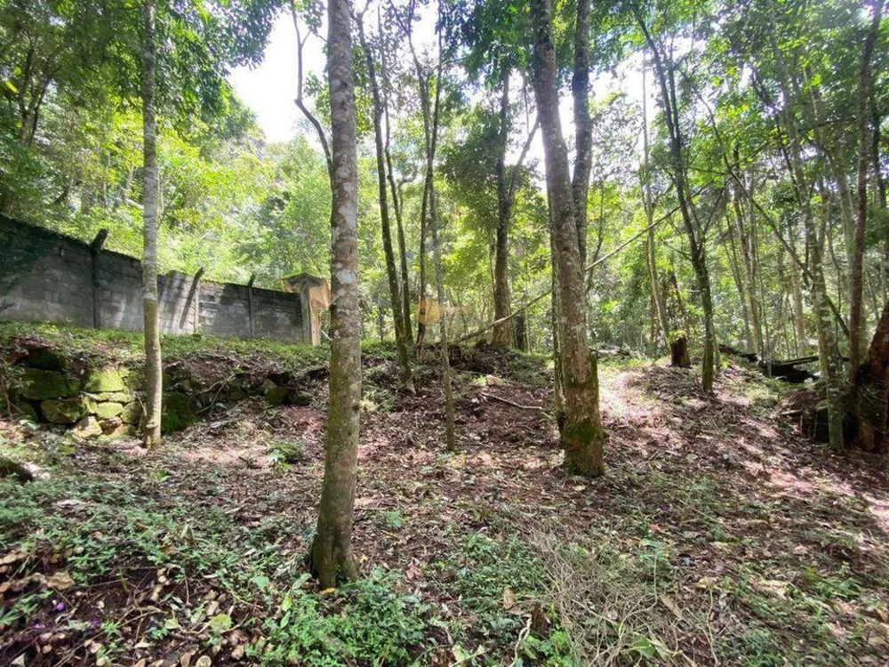 Terreno, 4000 m² - Foto 6