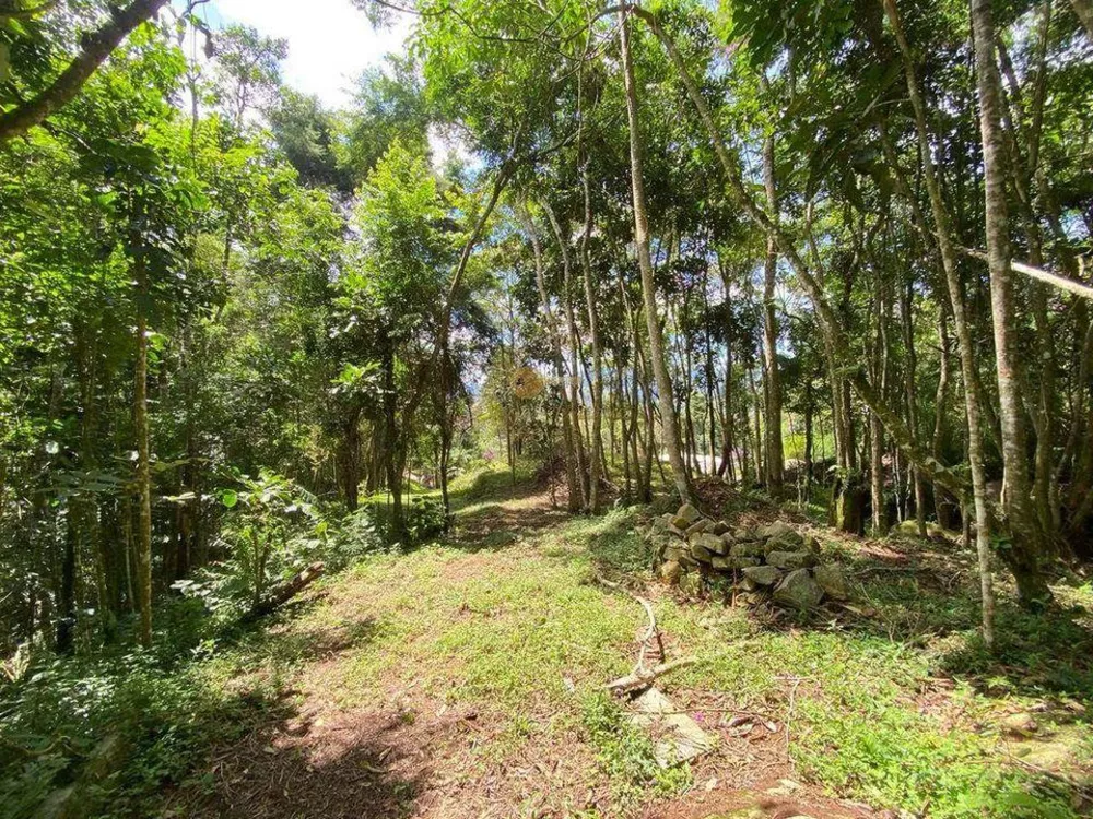 Terreno, 4000 m² - Foto 4