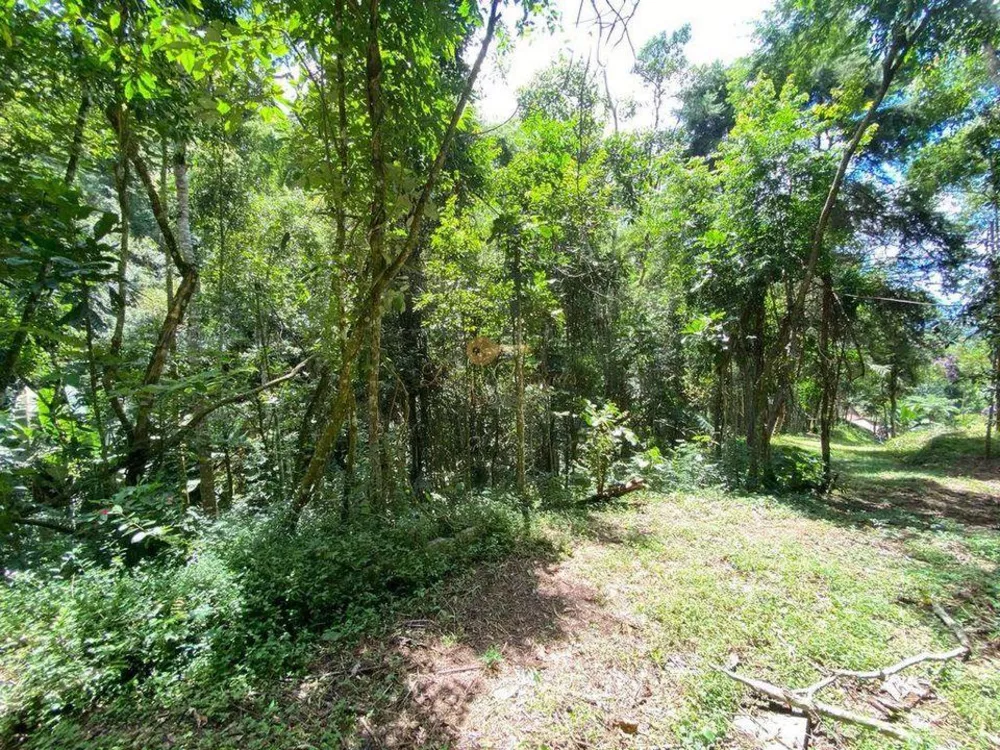 Terreno, 4000 m² - Foto 8