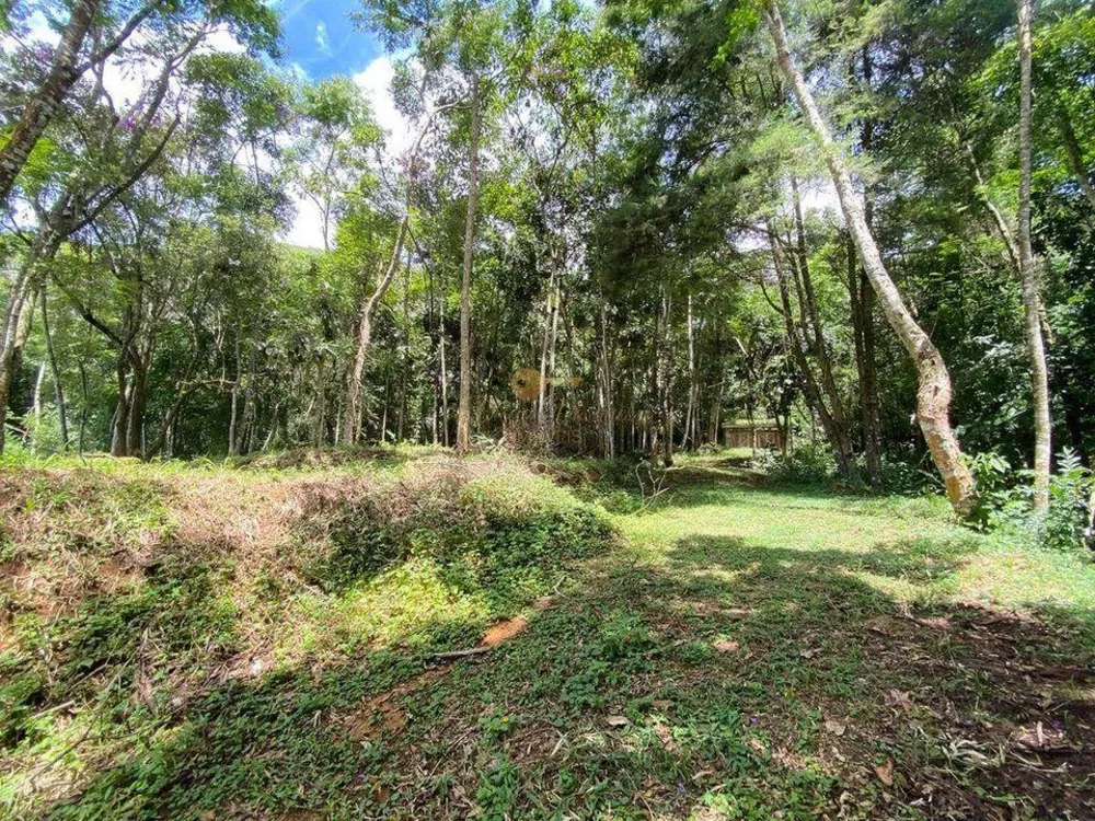 Terreno, 4000 m² - Foto 5