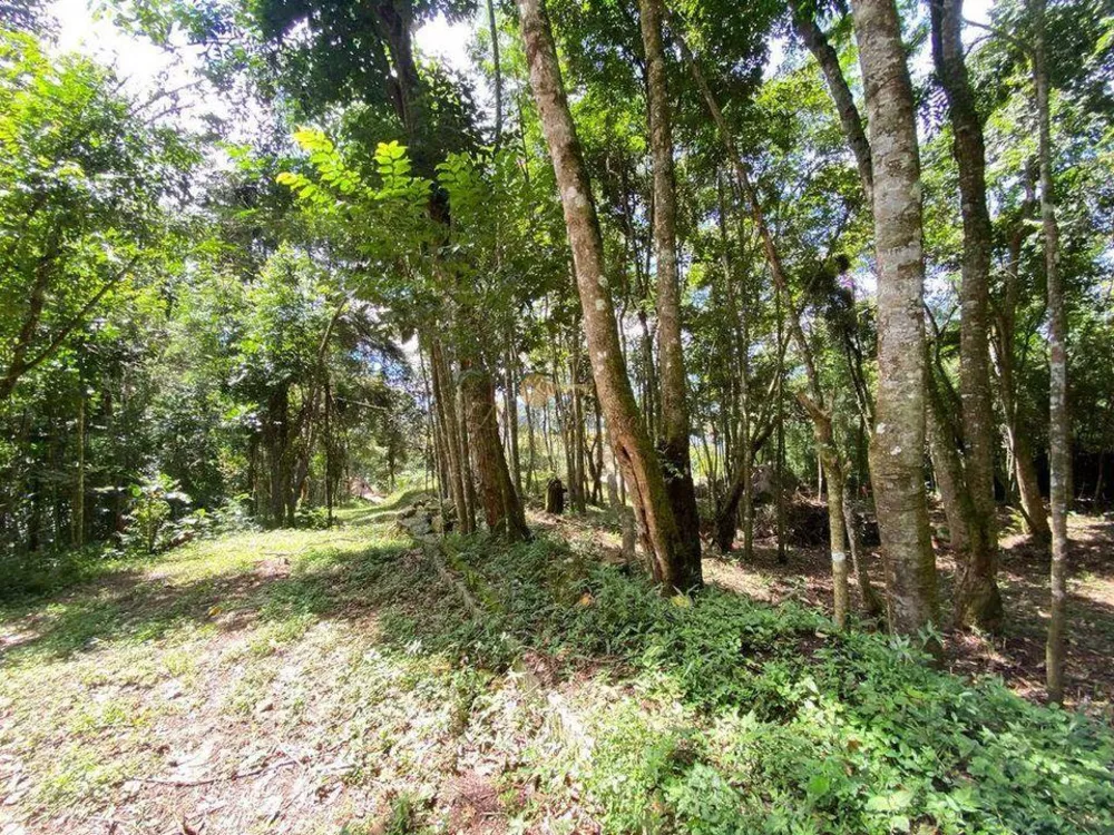 Terreno, 4000 m² - Foto 9