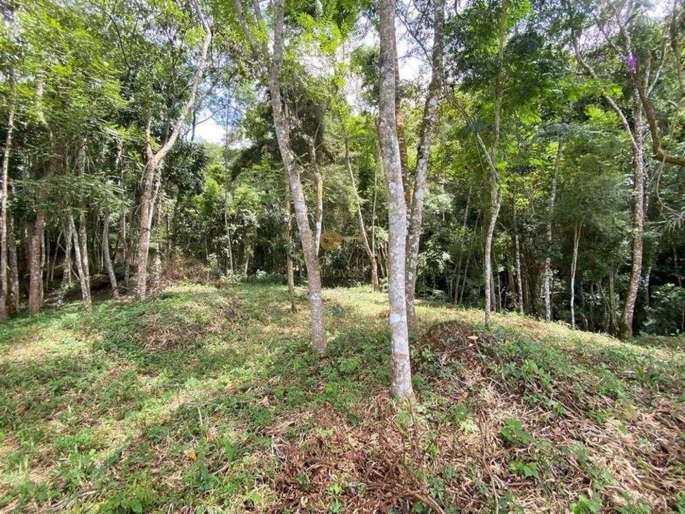 Terreno, 4000 m² - Foto 12