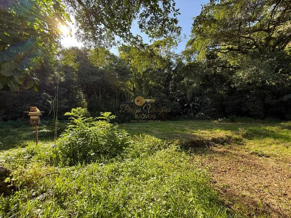 Sítio, 26 quartos, 12 hectares - Foto 15