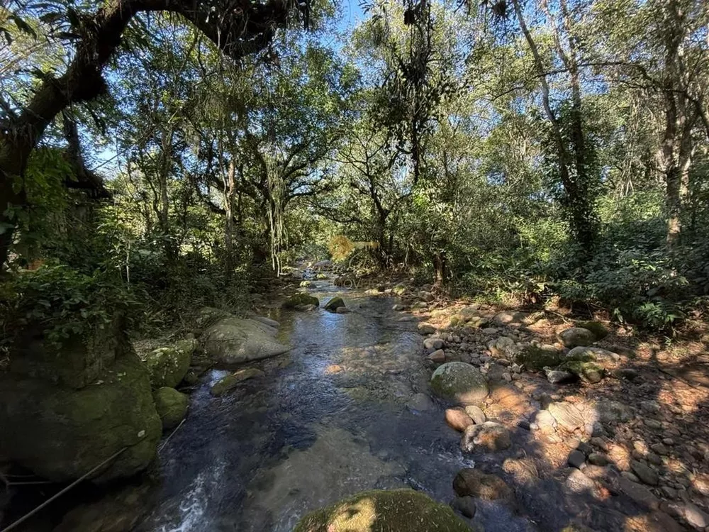Sítio, 26 quartos, 12 hectares - Foto 6