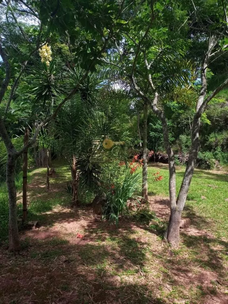 Terreno, 2 hectares - Foto 6