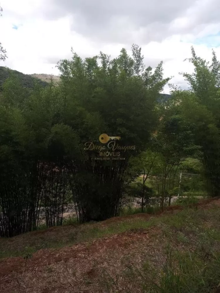 Terreno, 2 hectares - Foto 13