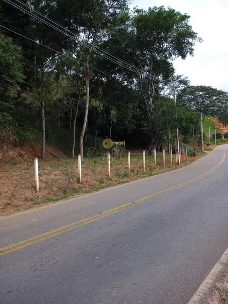 Terreno, 2 hectares - Foto 3