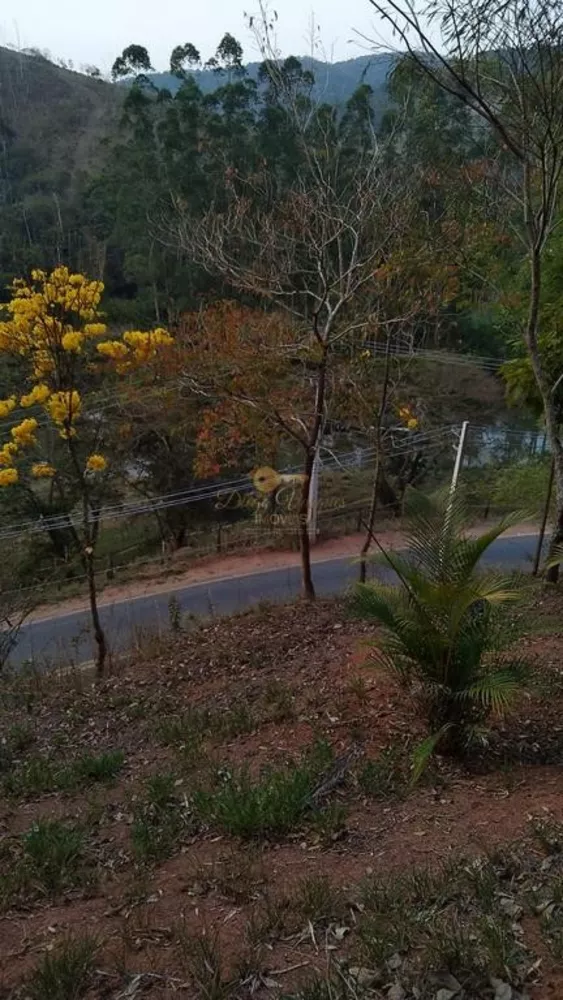 Terreno, 2 hectares - Foto 17