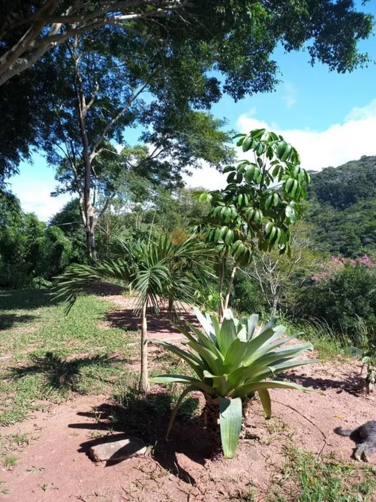 Terreno, 2 hectares - Foto 18