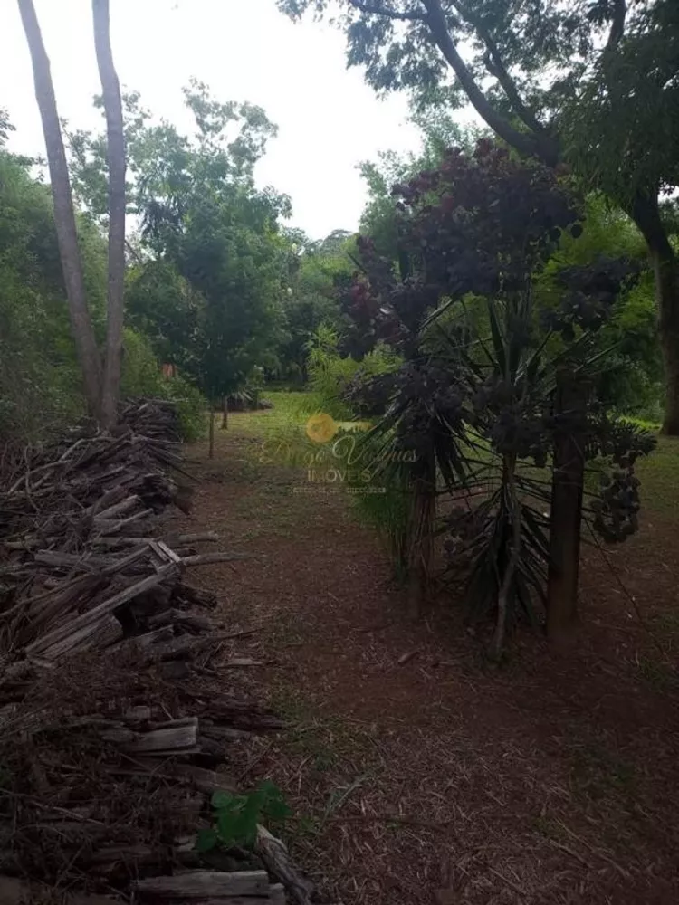 Terreno, 2 hectares - Foto 2