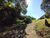 Terreno, 741 m² - Foto 4