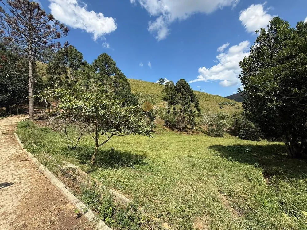 Fazenda, 68 hectares - Foto 9