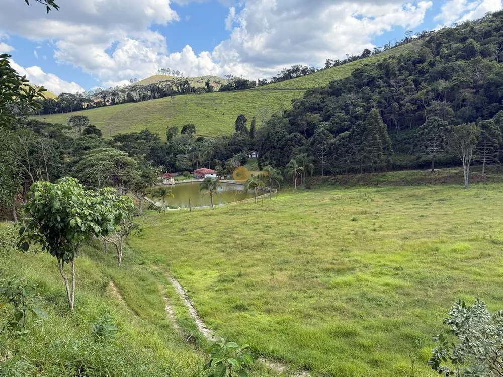 Fazenda, 68 hectares - Foto 29